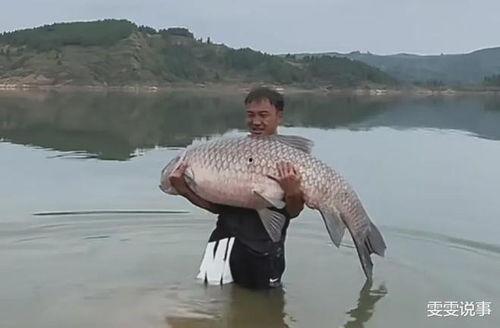 青鱼视频国产在线,国产在线影视盛宴，尽享视听盛宴  第2张